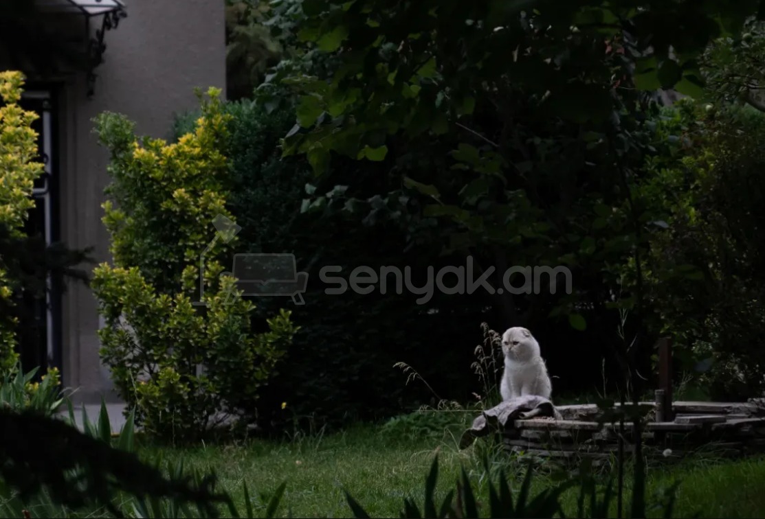 8 Սենյականոց Շքեղ Առանձնատուն, 662քմ