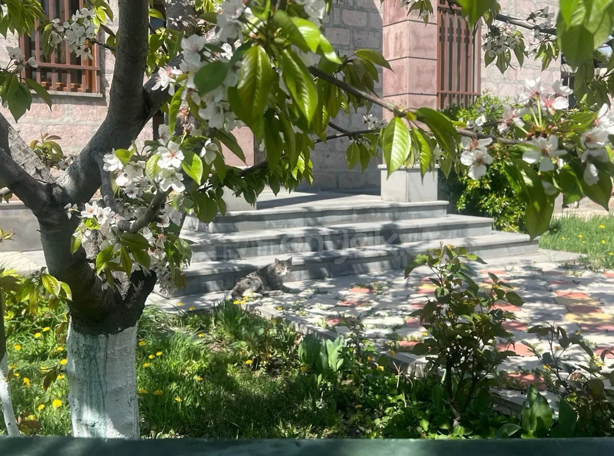 5 Սենյականոց Սեփական Տուն, 150քմ, Կապիտալ Վերանորոգված, Ավտոտնակով