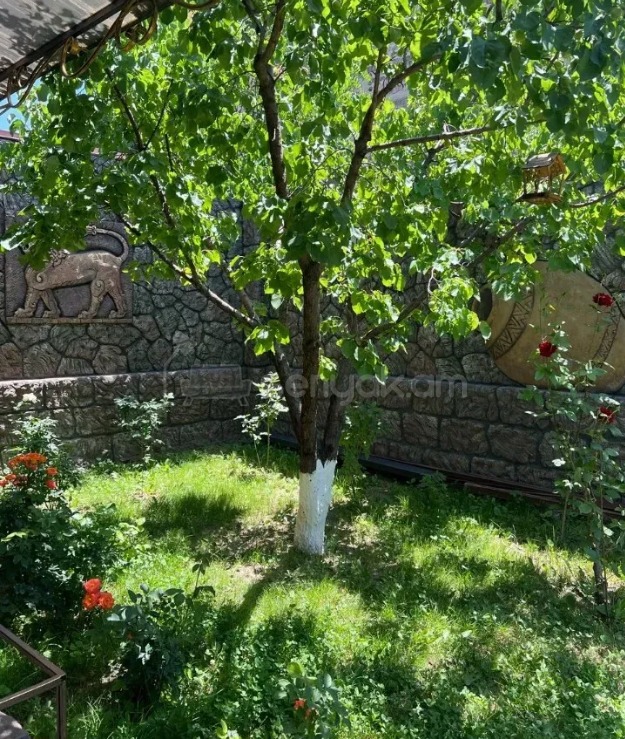 5 Սենյականոց Շքեղ Առանձնատուն, 244քմ