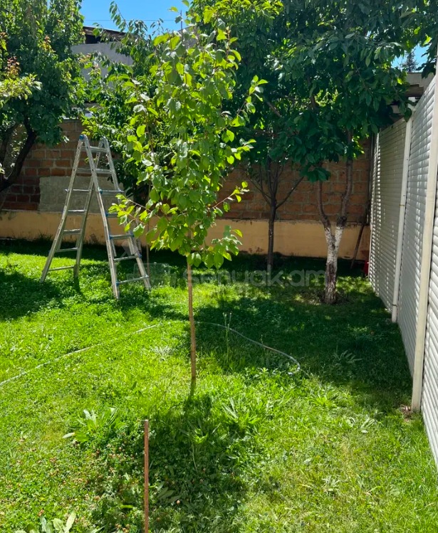 6 Սենյականոց Սեփական Տուն, 255քմ, Կոսմետիկ Վերանորոգված