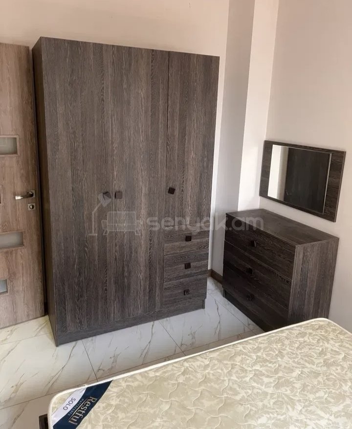 2 Սենյականոց Բնակարան Քարե Շենքում, 50քմ, 1/1 հարկ, Կապիտալ Վերանորոգված, Կահավորված