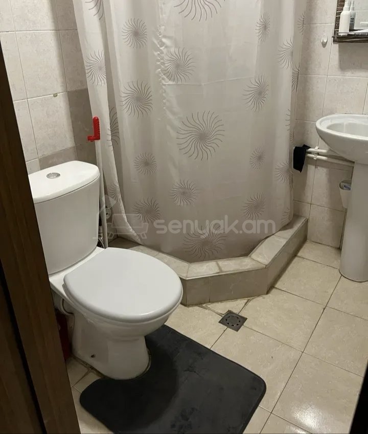 2 Սենյականոց Բնակարան Քարե Շենքում, 48քմ, 1/1 հարկ, Կապիտալ Վերանորոգված, Կահավորված