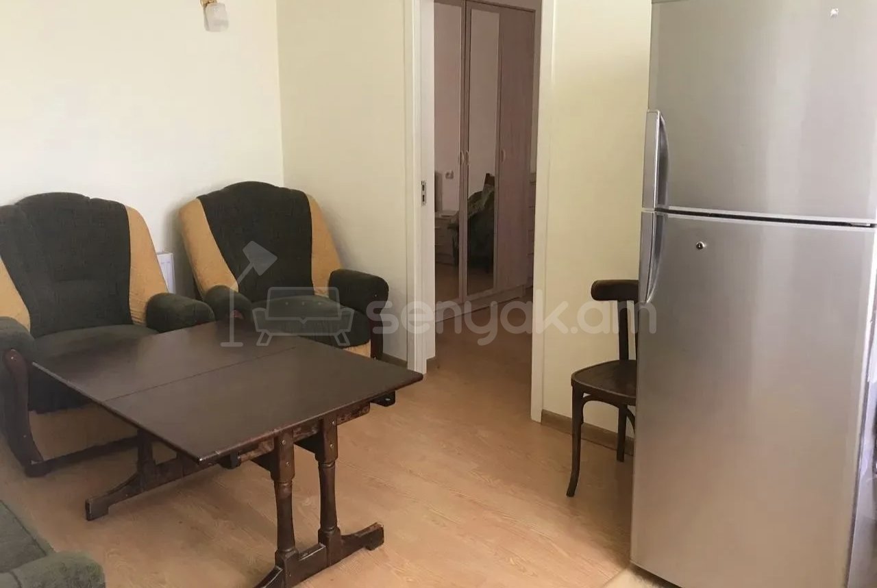 2 Սենյականոց Բնակարան Քարե Շենքում, 48քմ, 1/1 հարկ, Կապիտալ Վերանորոգված, Կահավորված