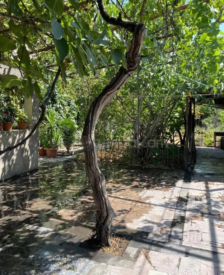 4 Սենյականոց Սեփական Տուն, 270քմ, Նորմալ Վիճակում