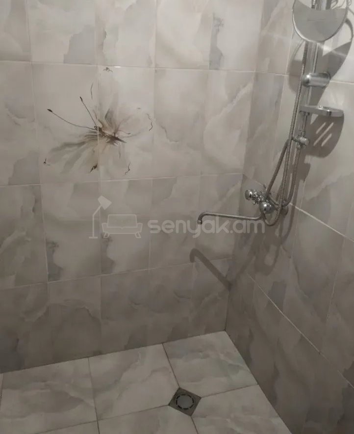 6 Սենյականոց Սեփական Տուն, 260քմ, Կոսմետիկ Վերանորոգված