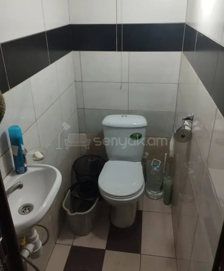 6 Սենյականոց Սեփական Տուն, 260քմ, Կոսմետիկ Վերանորոգված