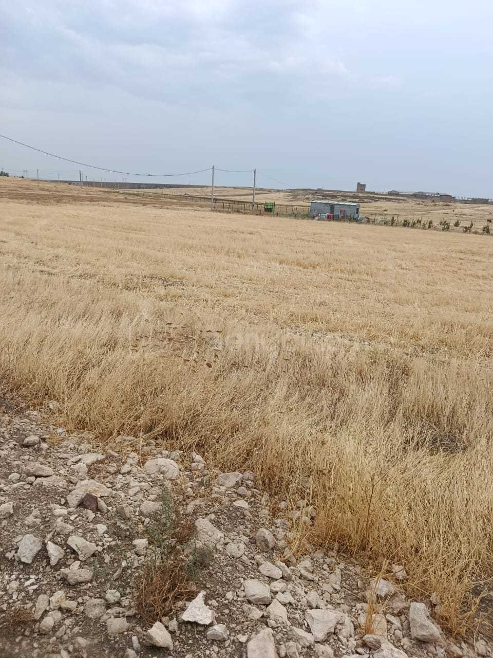 Հողամաս, 1000քմ, Ոռոգման Ջրով, Էլեկտրականությամբ