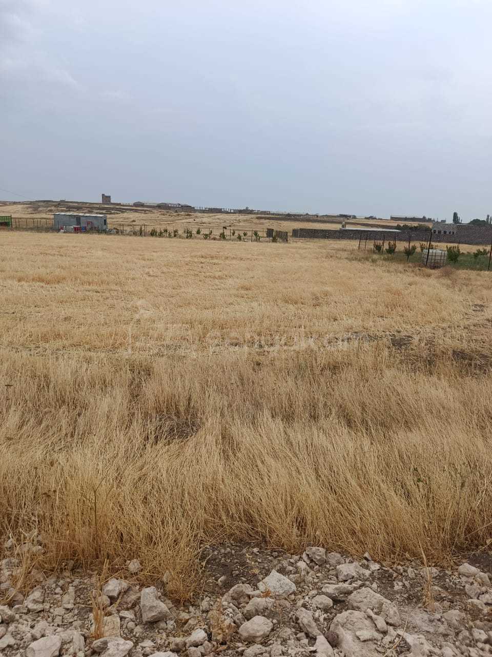 Հողամաս, 1000քմ, Ոռոգման Ջրով, Էլեկտրականությամբ