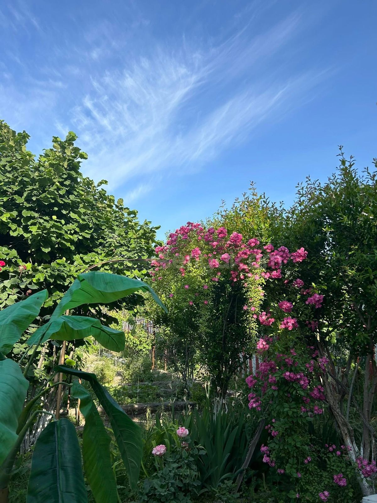 3 Սենյականոց Սեփական Տուն, 120քմ, Նորմալ Վիճակում