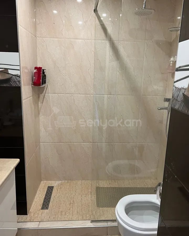 3 Սենյականոց Բնակարան, 100քմ, 6/10 հարկ, Կապիտալ Վերանորոգված