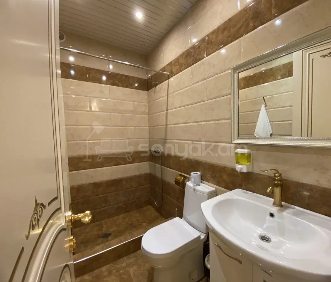 6 Սենյականոց Բնակարան Քարե Շենքում, 168քմ, 3/3 հարկ, Դիզայներական Վերանորոգված