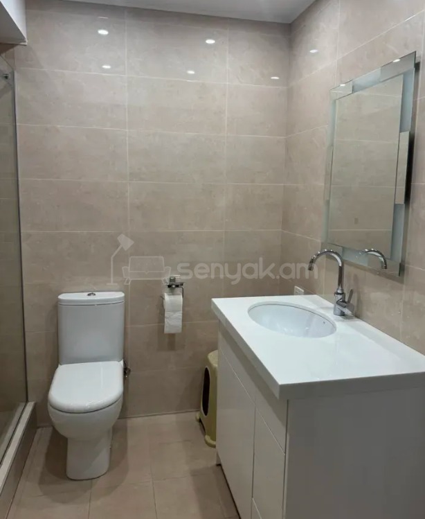 3 Սենյականոց Բնակարան Քարե Շենքում, 139քմ, 2/5 հարկ, Դիզայներական Վերանորոգված