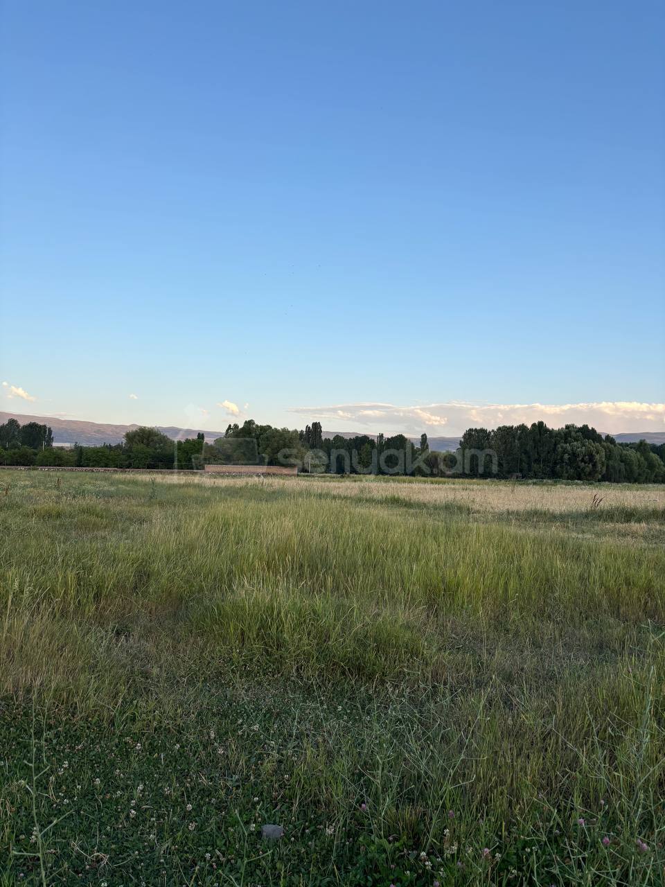 Հողամաս, 1170քմ, Ոռոգման Ջրով, Էլեկտրականությամբ