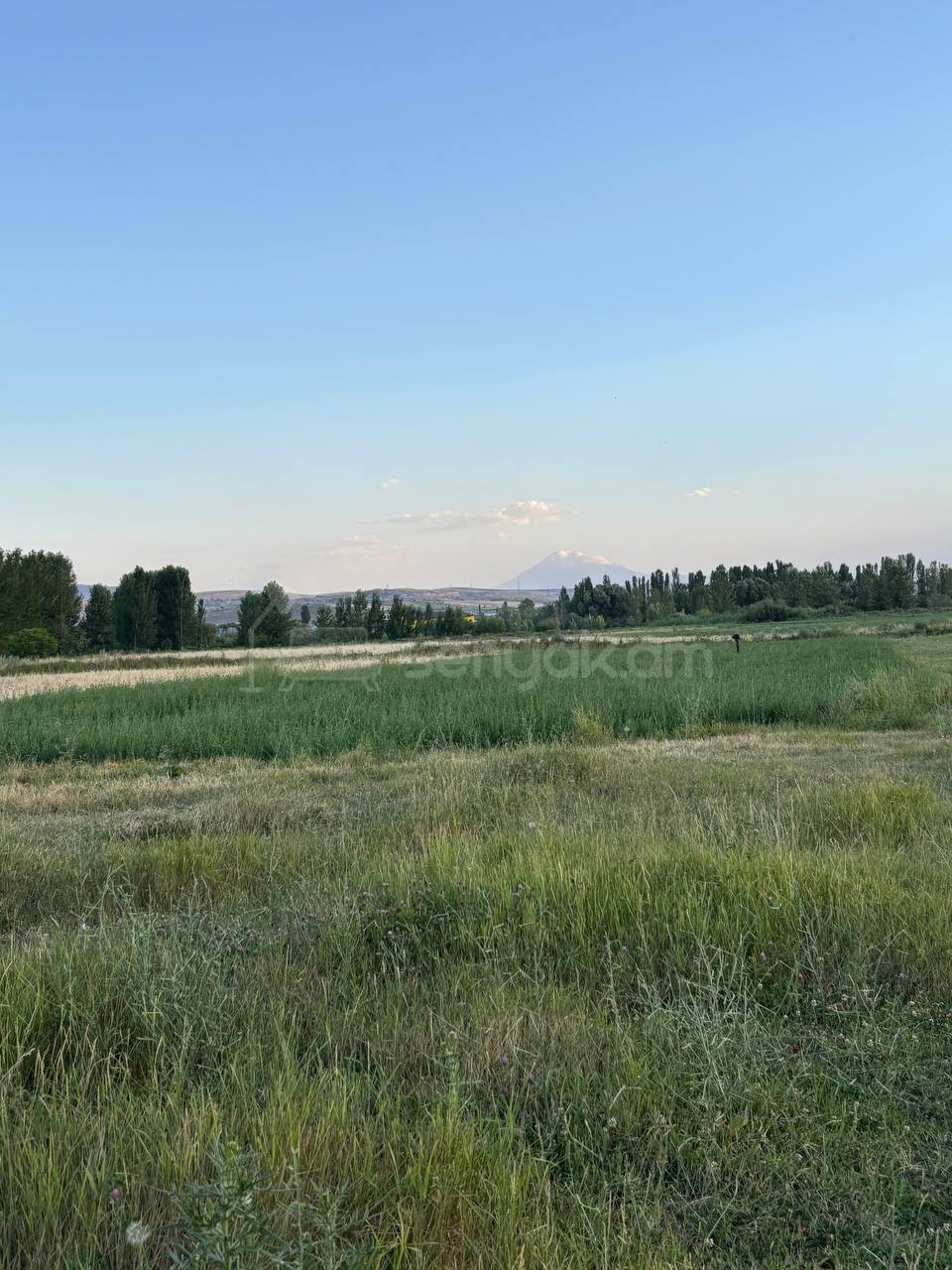 Հողամաս, 1170քմ, Ոռոգման Ջրով, Էլեկտրականությամբ