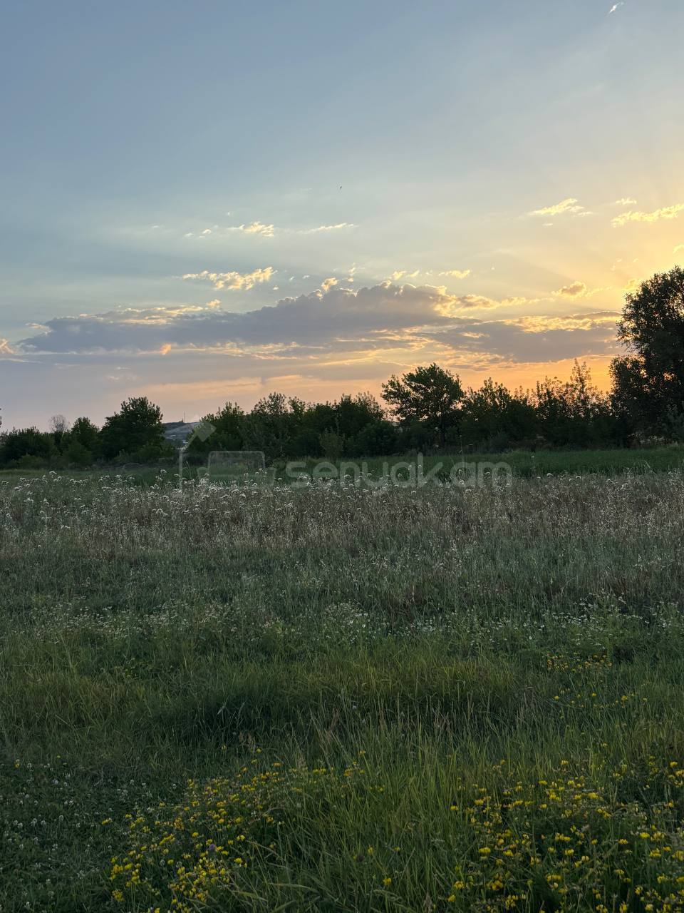 Հողամաս, 1170քմ, Ոռոգման Ջրով, Էլեկտրականությամբ