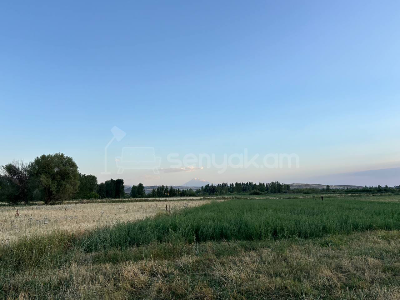 Հողամաս, 1170քմ, Ոռոգման Ջրով, Էլեկտրականությամբ