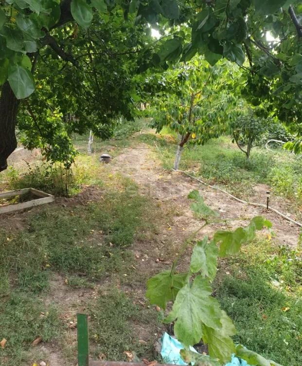 3 Սենյականոց Սեփական Տուն, 396քմ, Կապիտալ Վերանորոգված