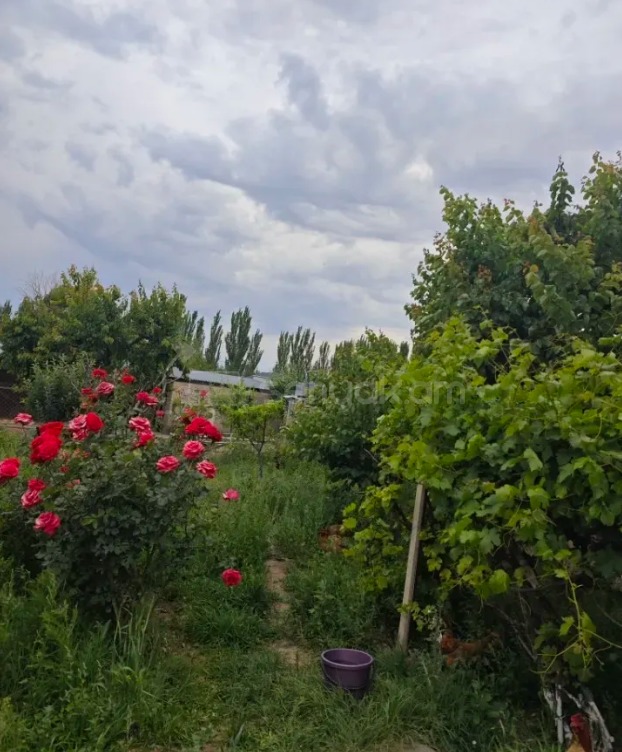 7 Սենյականոց Շքեղ Առանձնատուն, 250քմ