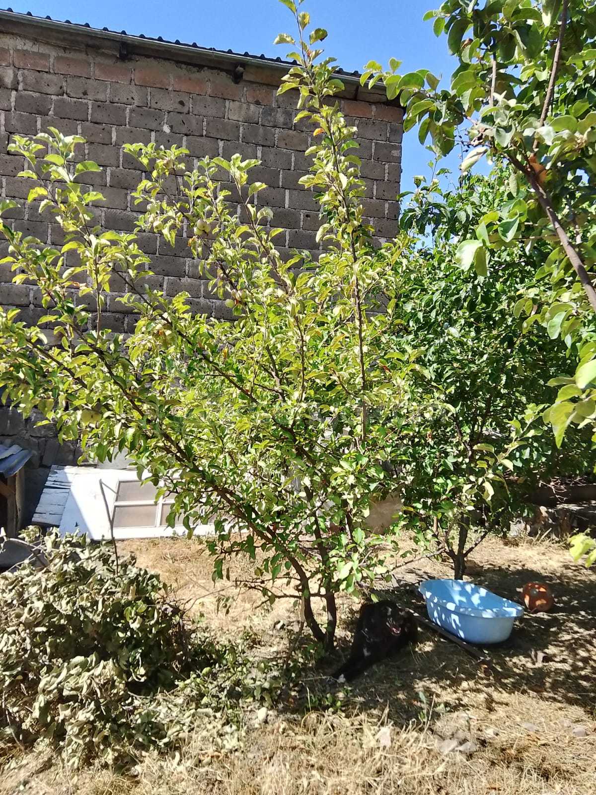 5 Սենյականոց Սեփական Տուն, 106քմ, Նորմալ Վիճակում