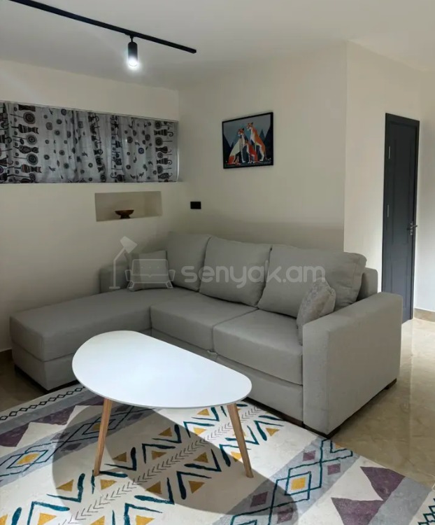 1 Սենյականոց Բնակարան, 33քմ, 1/9 հարկ, Դիզայներական Վերանորոգված