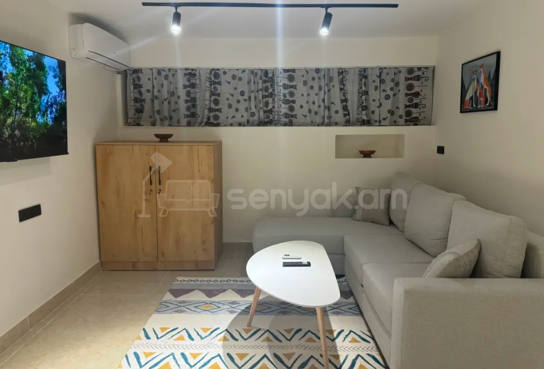 1 Սենյականոց Բնակարան, 33քմ, 1/9 հարկ, Դիզայներական Վերանորոգված