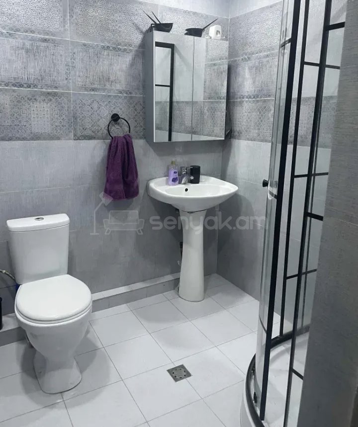 2 Սենյականոց Բնակարան, 45քմ, 4/9 հարկ, Նորմալ Վիճակում, Կահավորված