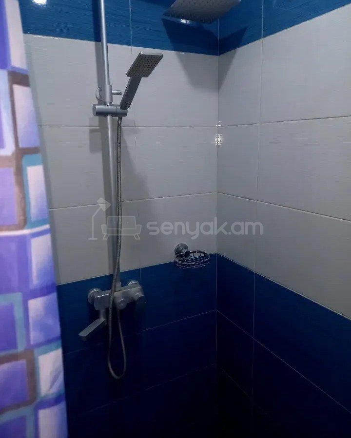 3 Սենյականոց Բնակարան, 80քմ, 6/9 հարկ, Կապիտալ Վերանորոգված, Կահավորված