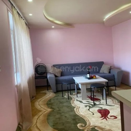 2 Սենյականոց Բնակարան Քարե Շենքում, 41քմ, 4/4 հարկ, Կոսմետիկ Վերանորոգված, Կահավորված, Արևկող