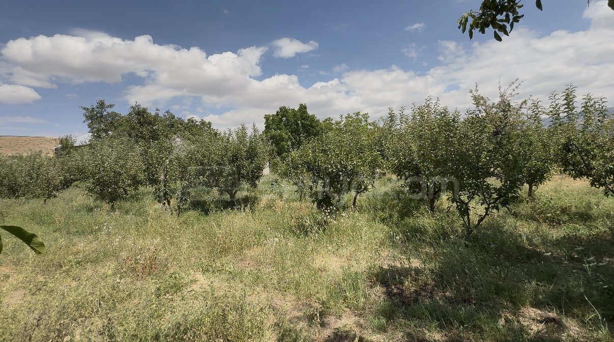 Հողամաս, 2200քմ, Ոռոգման Ջրով, Էլեկտրականությամբ