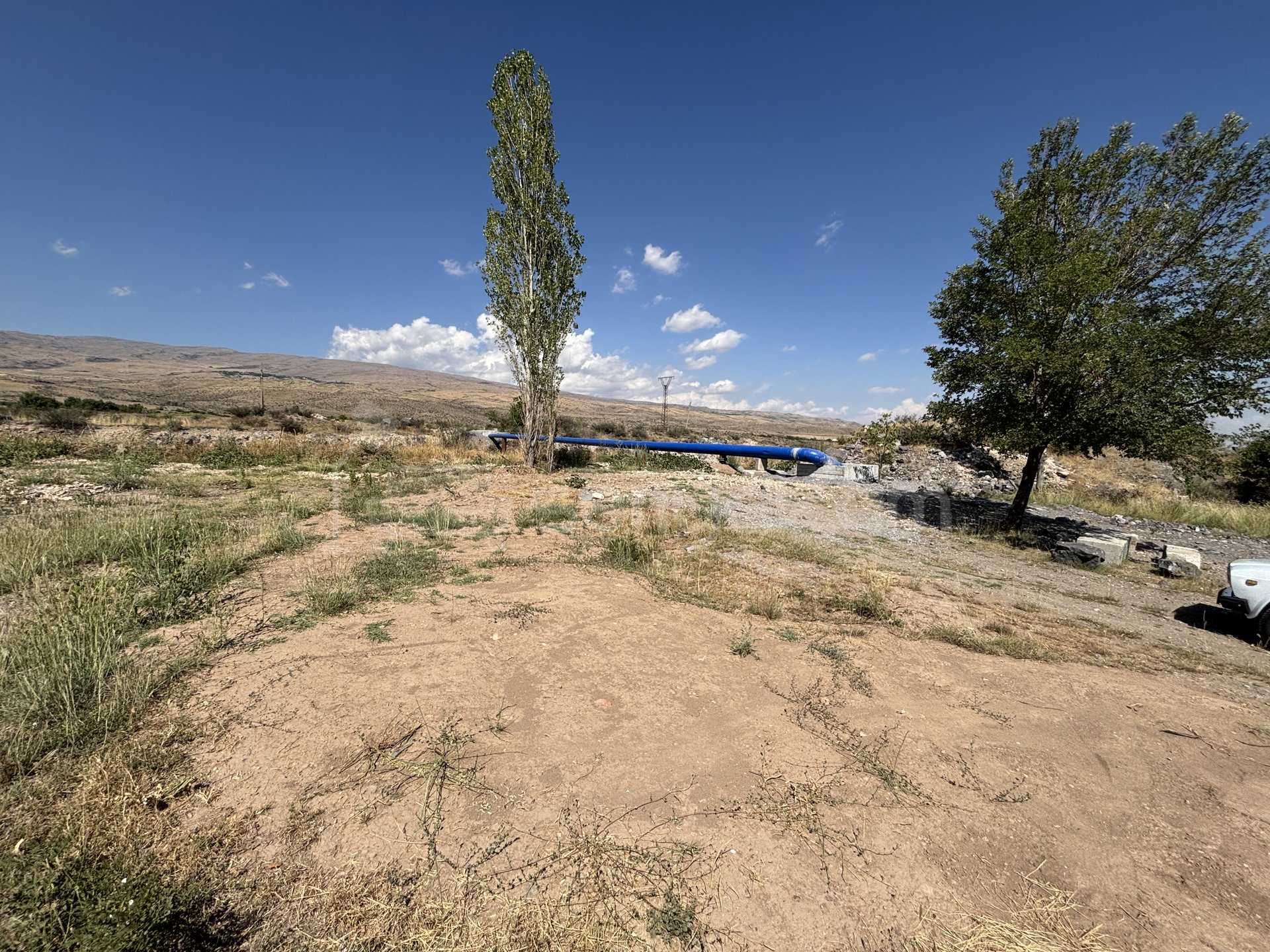 Այգի, 10600քմ, Ոռոգման Ջրով