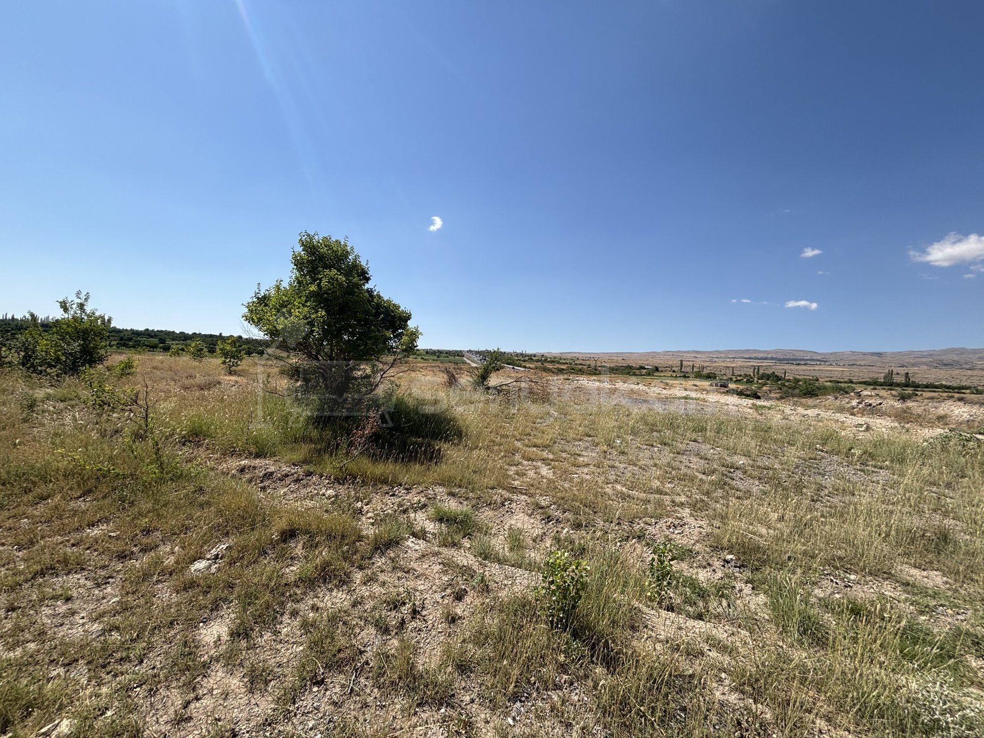 Այգի, 10600քմ, Ոռոգման Ջրով