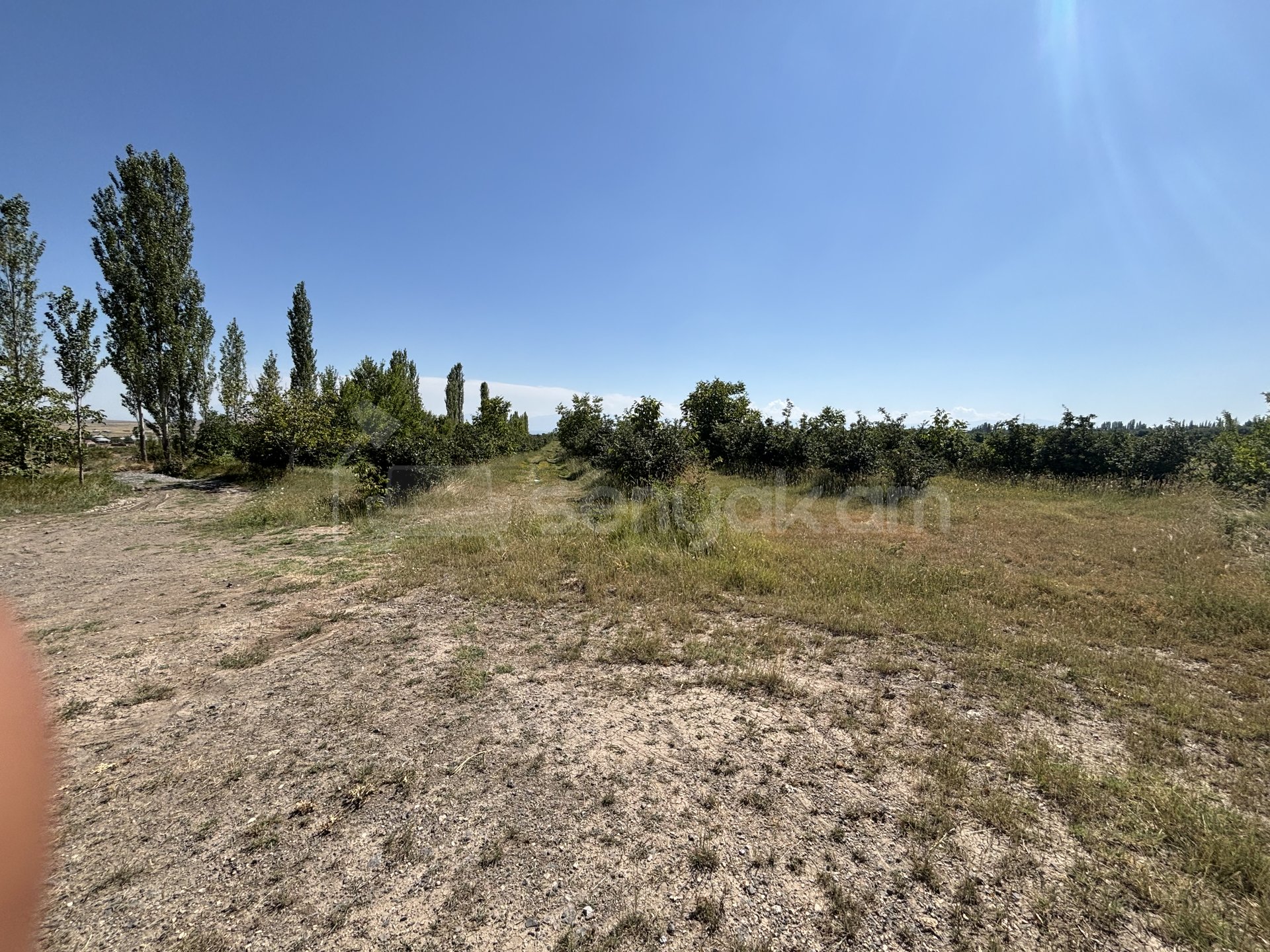 Այգի, 10600քմ, Ոռոգման Ջրով