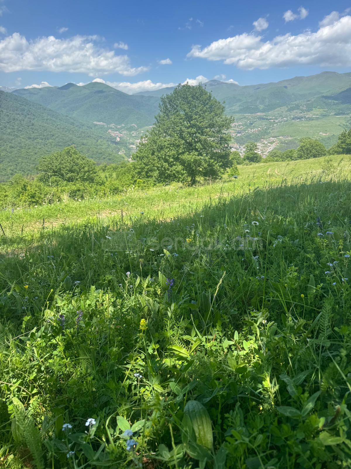 Բնակելի Նշանակության Հողատարածք, 874քմ, Խմելու Ջրով, Էլեկտրականությամբ