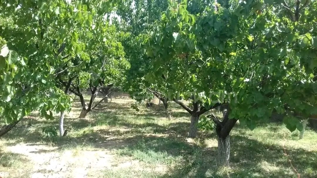 Բնակելի Նշանակության Հողատարածք, 400քմ, Պարսպապատ