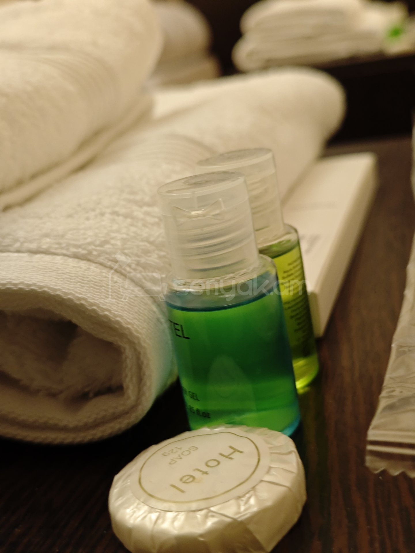 5 Սենյականոց Շքեղ Առանձնատուն, 350քմ, Լողավազանով