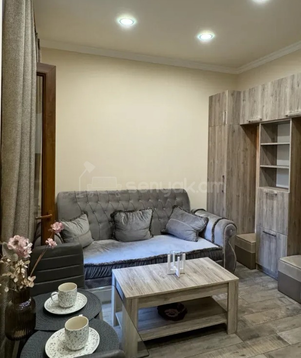 2 Սենյականոց Բնակարան Քարե Շենքում, 30քմ, 2/5 հարկ, Կապիտալ Վերանորոգված