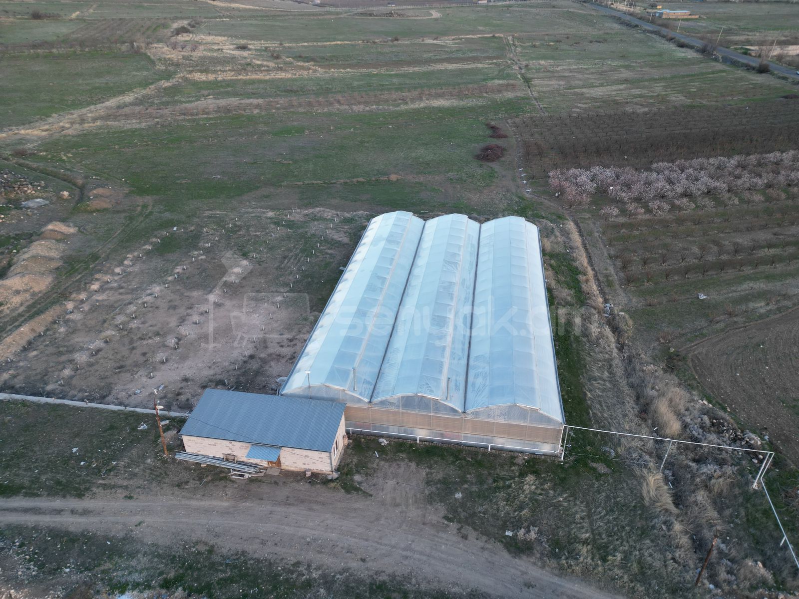 Կոմերցիոն Տարածք, 1000քմ