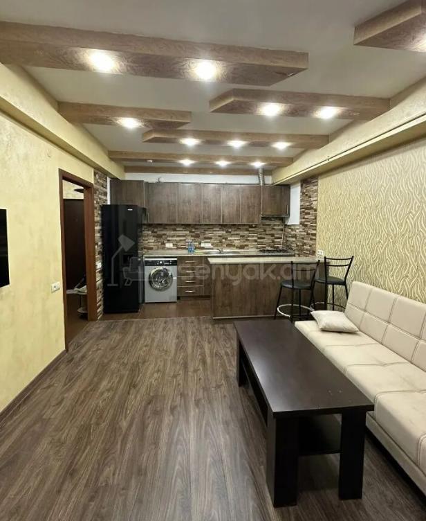 2 Սենյականոց Բնակարան, 50քմ, 2/9 հարկ, Դիզայներական Վերանորոգված, Կահավորված, Արևկող