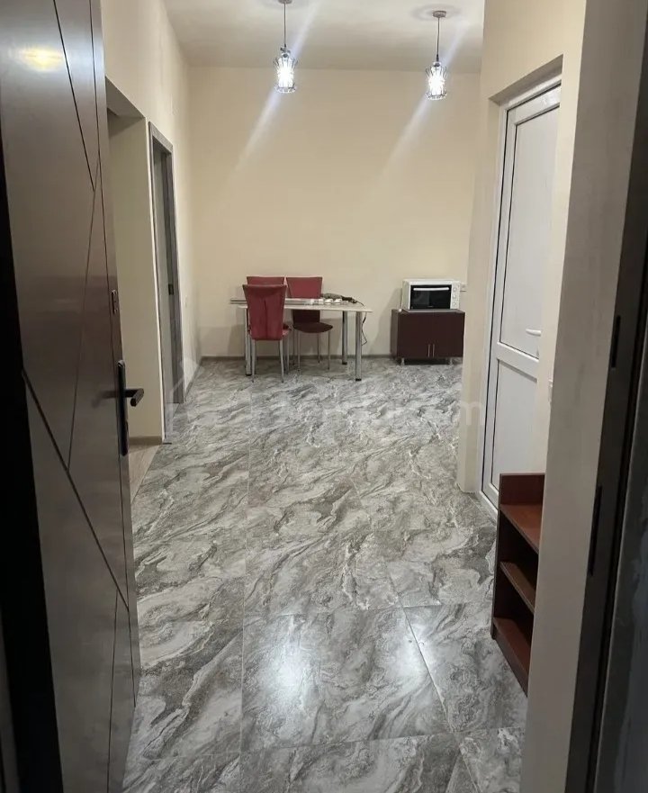 2 Սենյականոց Բնակարան Քարե Շենքում, 46քմ, 1/1 հարկ, Նորմալ Վիճակում, Կահավորված