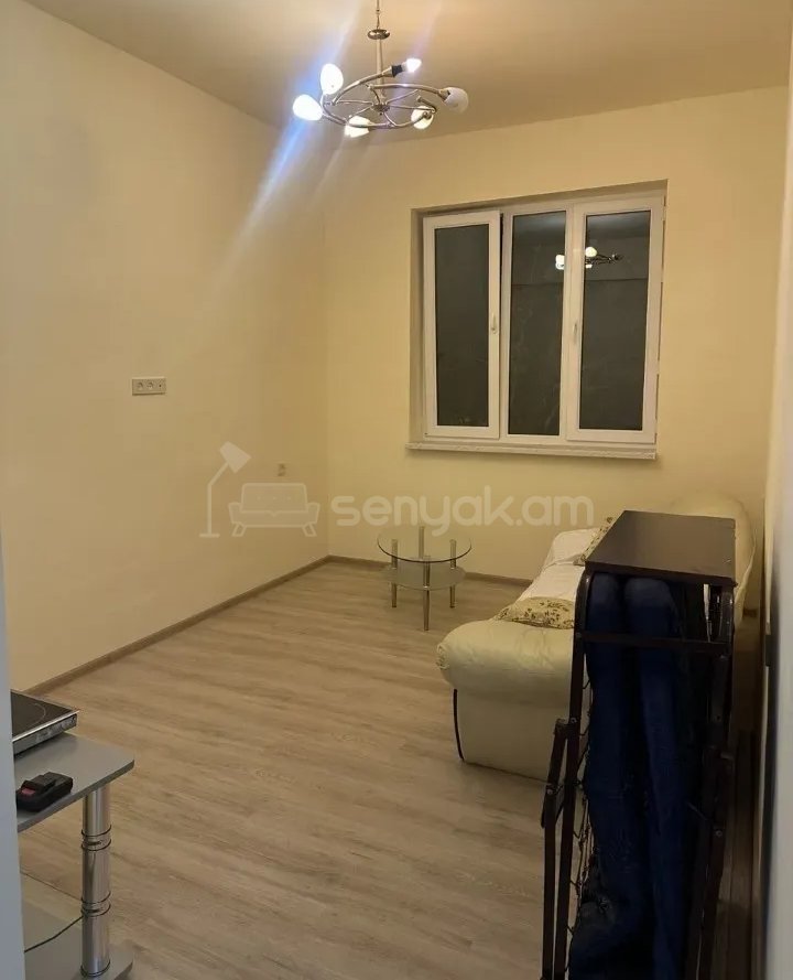 2 Սենյականոց Բնակարան Քարե Շենքում, 46քմ, 1/1 հարկ, Նորմալ Վիճակում, Կահավորված