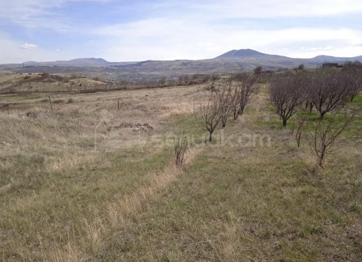 Հողատարածք, 6000քմ, Ոռոգման Ջրով, Ցանկապատված