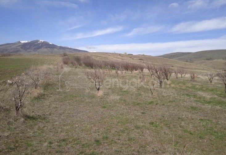 Հողատարածք, 6000քմ, Ոռոգման Ջրով, Ցանկապատված