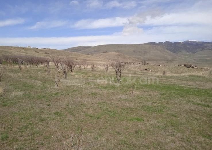 Հողատարածք, 6000քմ, Ոռոգման Ջրով, Ցանկապատված