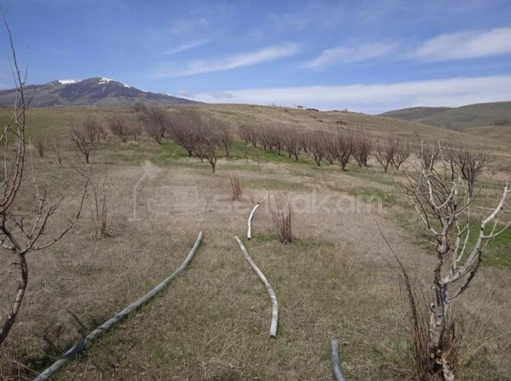Հողատարածք, 6000քմ, Ոռոգման Ջրով, Ցանկապատված