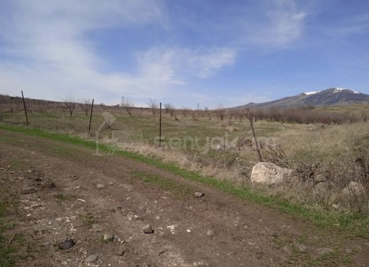 Հողատարածք, 6000քմ, Ոռոգման Ջրով, Ցանկապատված