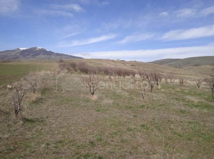 Հողատարածք, 6000քմ, Ոռոգման Ջրով, Ցանկապատված