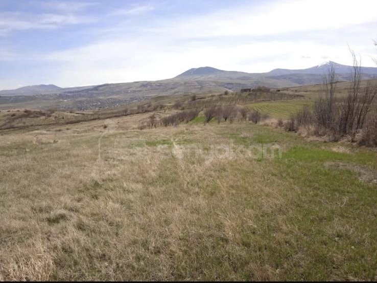 Հողատարածք, 6000քմ, Ոռոգման Ջրով, Ցանկապատված