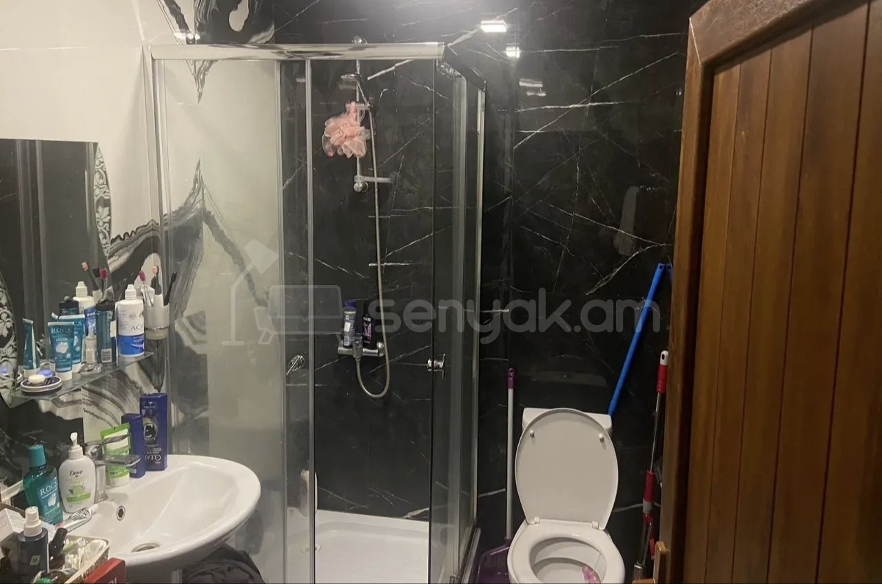 3 Սենյականոց Բնակարան Քարե Շենքում, 62քմ, 1/1 հարկ, Կապիտալ Վերանորոգված, Կահավորված