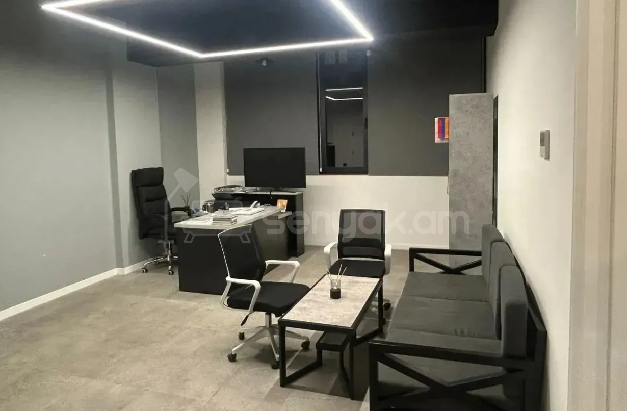 Նորակառույց Օֆիսային Տարածք, 163քմ