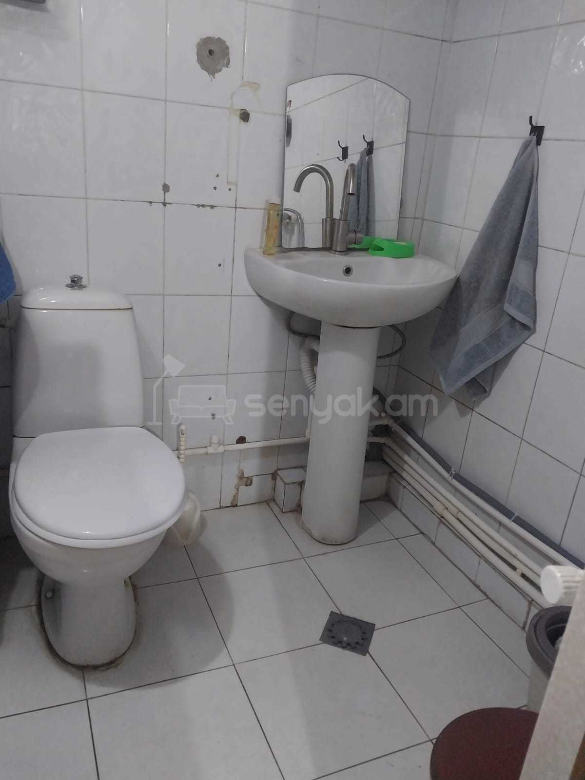 4 Սենյականոց Սեփական Տուն, 129քմ, Կոսմետիկ Վերանորոգված